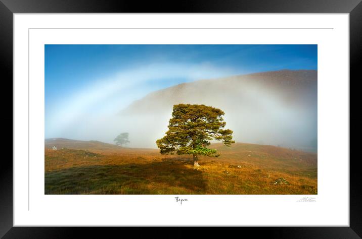 The pines and fogbow  Framed Mounted Print by JC studios LRPS ARPS