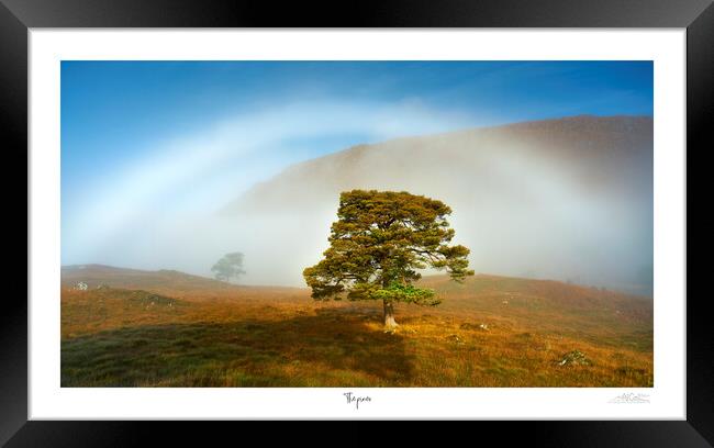 The pines and fogbow  Framed Print by JC studios LRPS ARPS