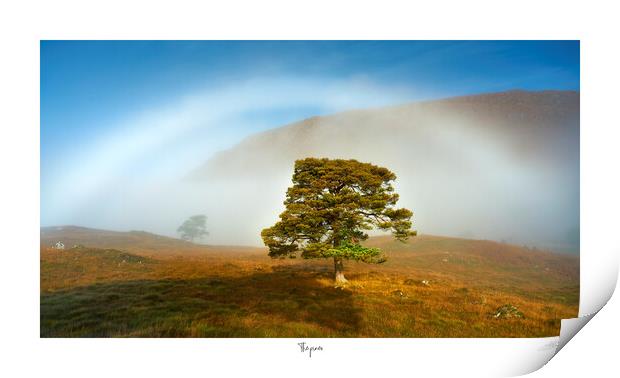 The pines and fogbow  Print by JC studios LRPS ARPS