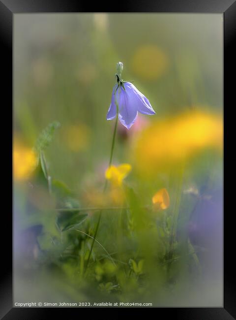 Plant flower Framed Print by Simon Johnson