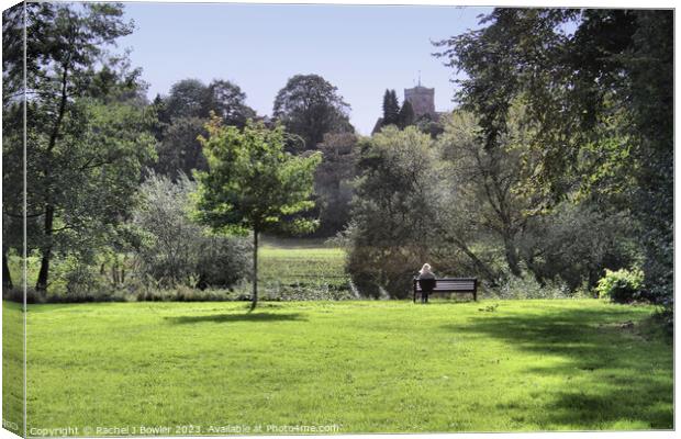 Riverside Meadows at Stourport-on-Severn Canvas Print by RJ Bowler