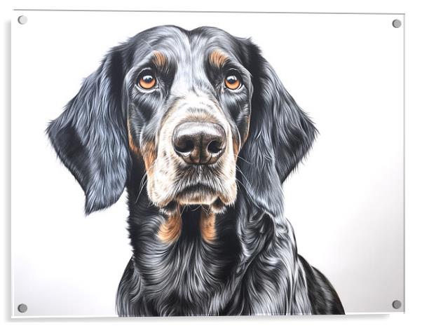 Bluetick Coonhound Pencil Drawing Acrylic by K9 Art