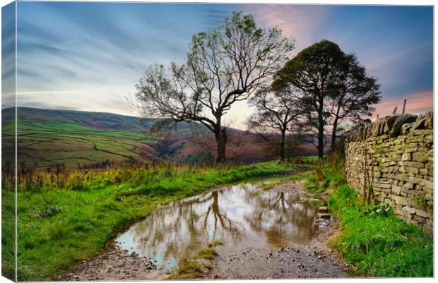 Digley Holmfirth Landscape  Canvas Print by Alison Chambers
