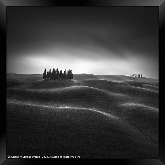 The iconic cypresses of the Val d'Orcia. Tuscany, study II Framed Print by Stefano Orazzini