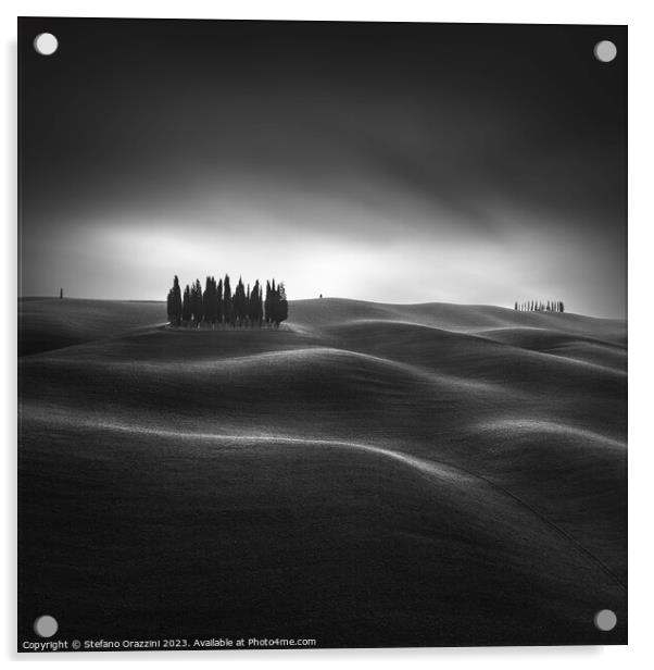 The iconic cypresses of the Val d'Orcia. Tuscany, study II Acrylic by Stefano Orazzini