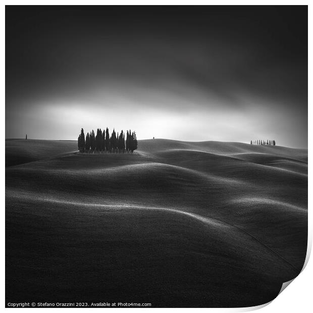 The iconic cypresses of the Val d'Orcia. Tuscany, study II Print by Stefano Orazzini