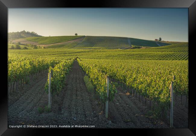 Vineyards at sunset. Castellina in Chianti, Tuscany, Italy Framed Print by Stefano Orazzini