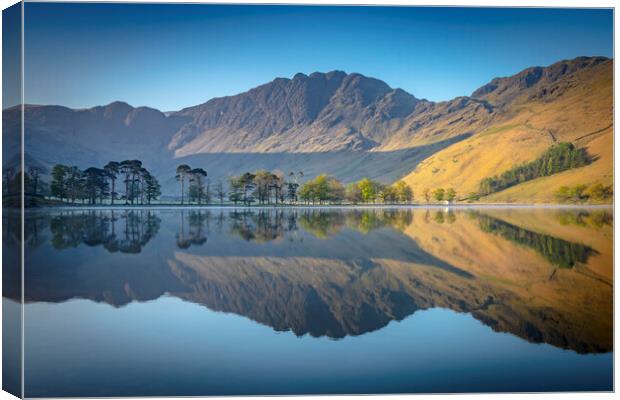 Buttermere Pines Canvas Print by Jonny Gios