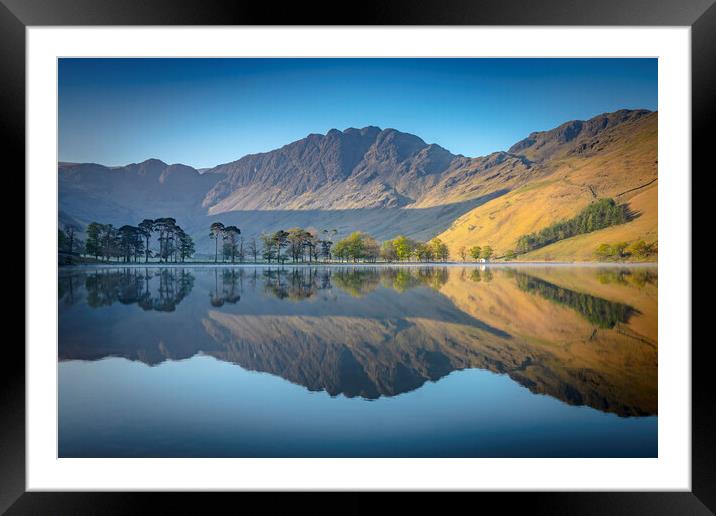 Buttermere Pines Framed Mounted Print by Jonny Gios