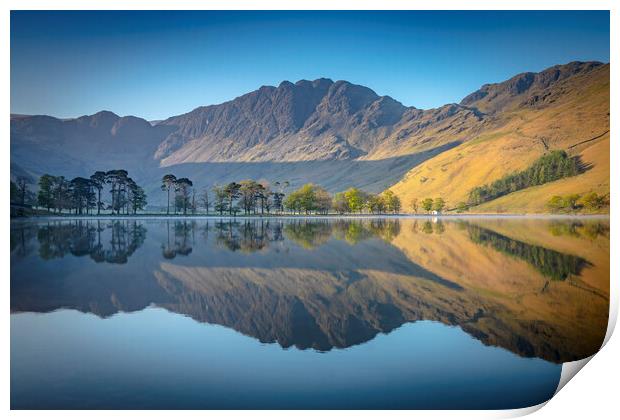 Buttermere Pines Print by Jonny Gios