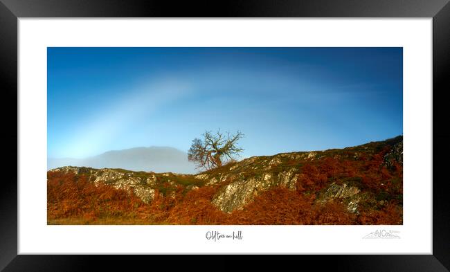 Old tree on the hill Framed Print by JC studios LRPS ARPS