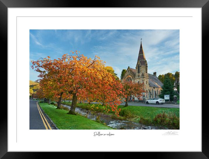 Dolllar in autumn Framed Mounted Print by JC studios LRPS ARPS