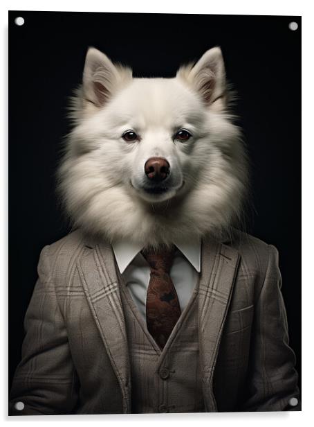 American Eskimo Dog Acrylic by K9 Art