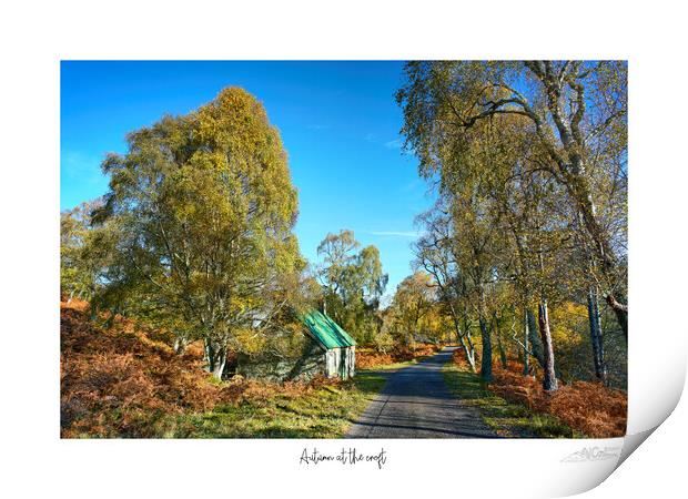 Autumn at the croft Print by JC studios LRPS ARPS