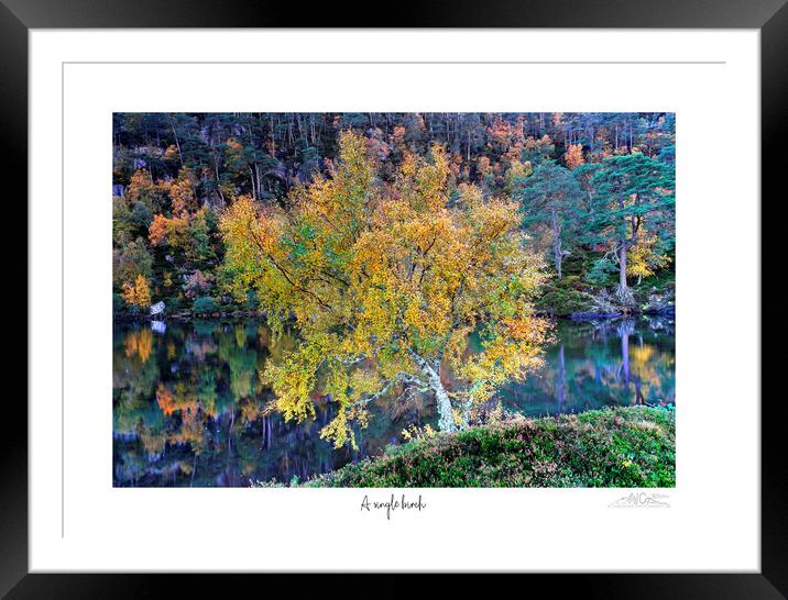 Abstract  Framed Mounted Print by JC studios LRPS ARPS
