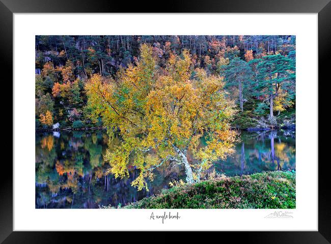 Abstract  Framed Print by JC studios LRPS ARPS
