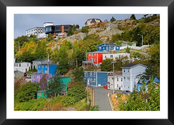Colourful Houses, St. John's Newfoundland Framed Mounted Print by Martyn Arnold