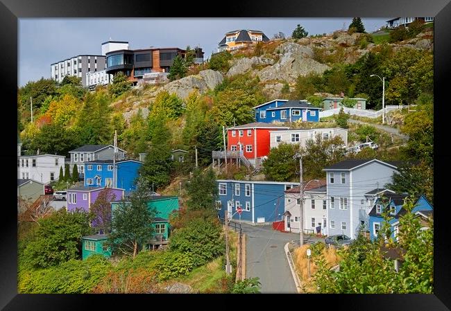 Colourful Houses, St. John's Newfoundland Framed Print by Martyn Arnold