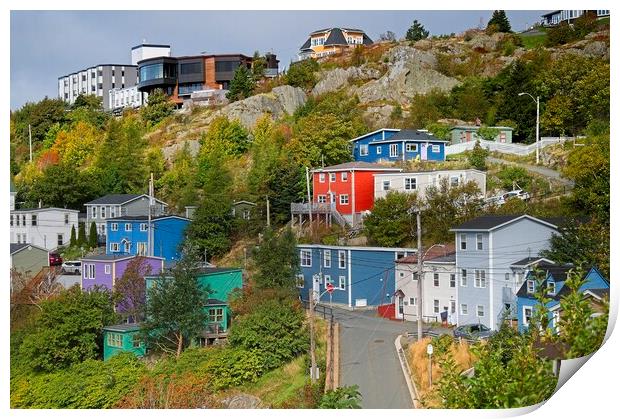 Colourful Houses, St. John's Newfoundland Print by Martyn Arnold