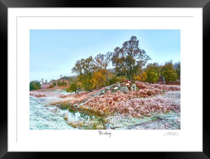 The outcrop.. A frosy  autumnal start to the day. Framed Mounted Print by JC studios LRPS ARPS