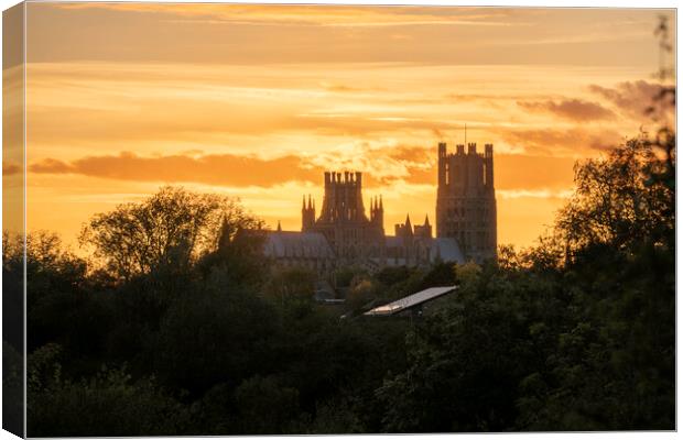 Sunset behind Ely Cathedral from Roswell Pits Nature Reserve, 22 Canvas Print by Andrew Sharpe