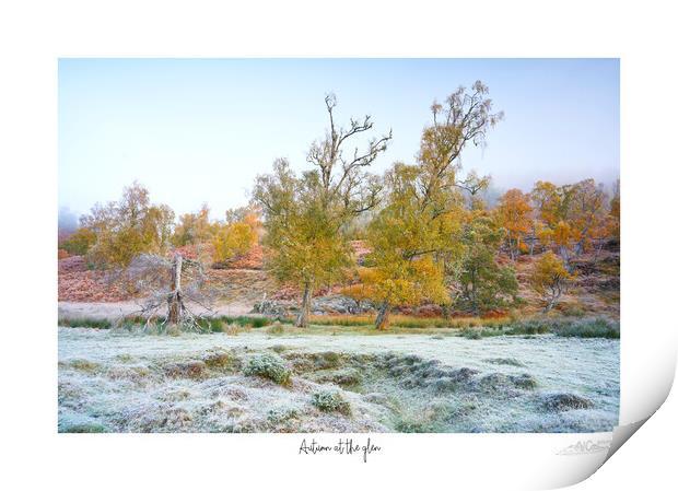 Autumn at the glen.  Print by JC studios LRPS ARPS