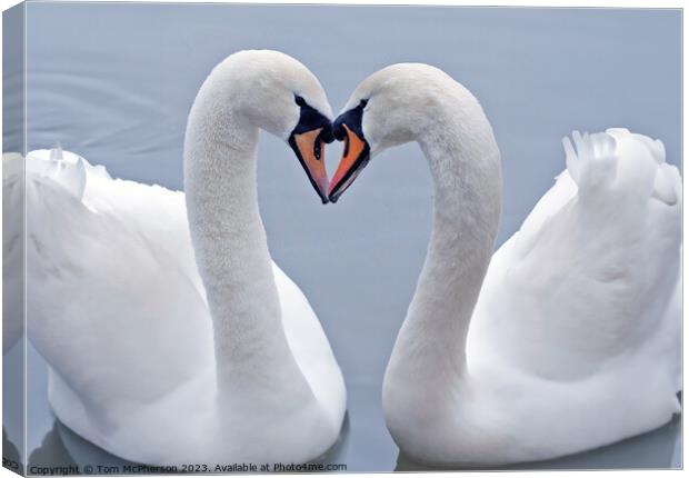 Swan Heart Canvas Print by Tom McPherson