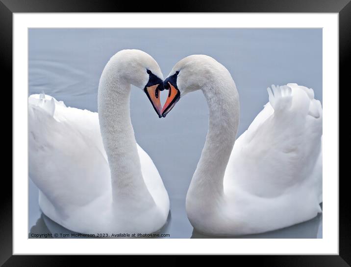 Swan Heart Framed Mounted Print by Tom McPherson