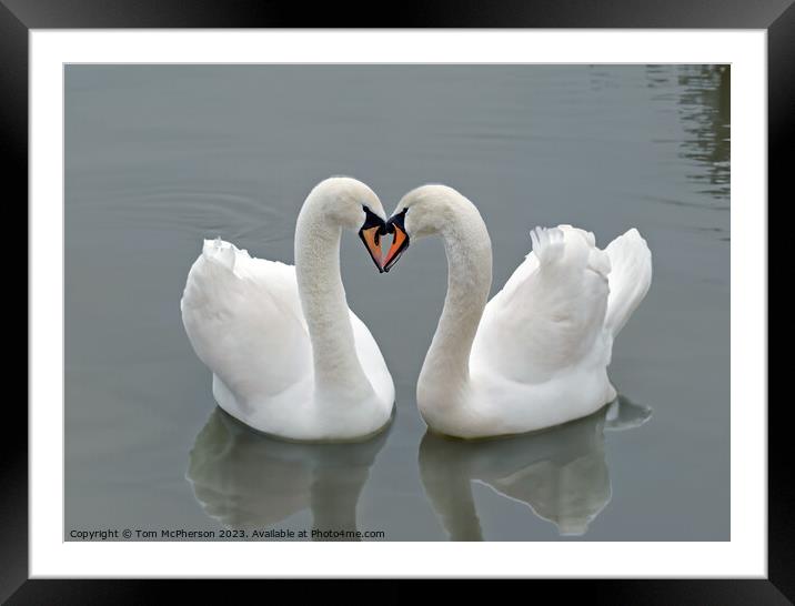 Swan Heart Framed Mounted Print by Tom McPherson
