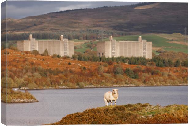 Trawsfynydd Nuclear power station Canvas Print by Rory Trappe