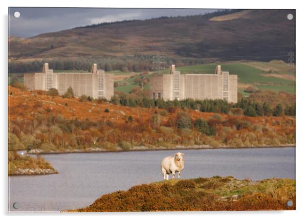 Trawsfynydd Nuclear power station Acrylic by Rory Trappe