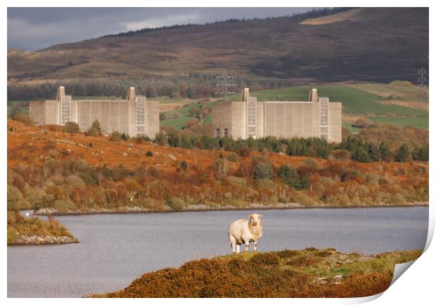 Trawsfynydd Nuclear power station Print by Rory Trappe