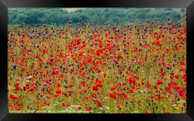 Poppy  field Framed Print by Simon Johnson