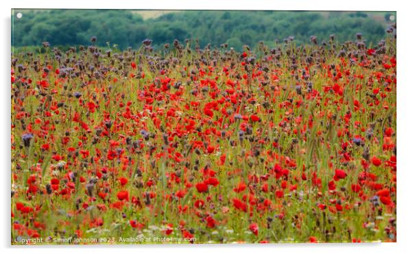 Poppy  field Acrylic by Simon Johnson