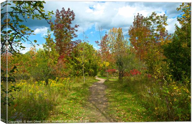 Nature's Bright Autumn Display Canvas Print by Ken Oliver