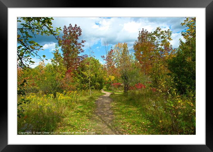 Nature's Bright Autumn Display Framed Mounted Print by Ken Oliver