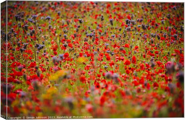 Poppy field Canvas Print by Simon Johnson