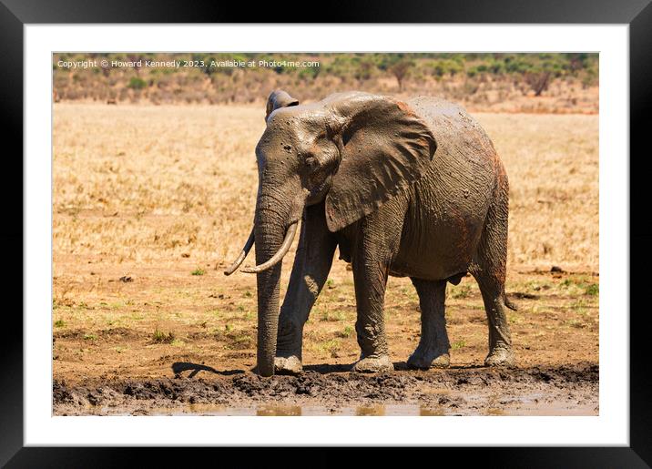 Young Bull Elephant leaving a mud bath covered in mud Framed Mounted Print by Howard Kennedy