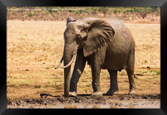 Young Bull Elephant leaving a mud bath covered in mud Framed Print by Howard Kennedy