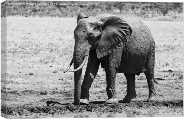 Young Bull Elephant leaving a mud bath covered in mud in black and white Canvas Print by Howard Kennedy