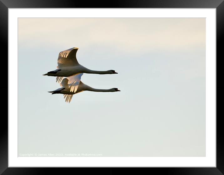 Geese Flying In Sync  Framed Mounted Print by James Allen