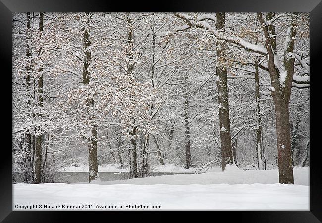 Snowy Scene Framed Print by Natalie Kinnear