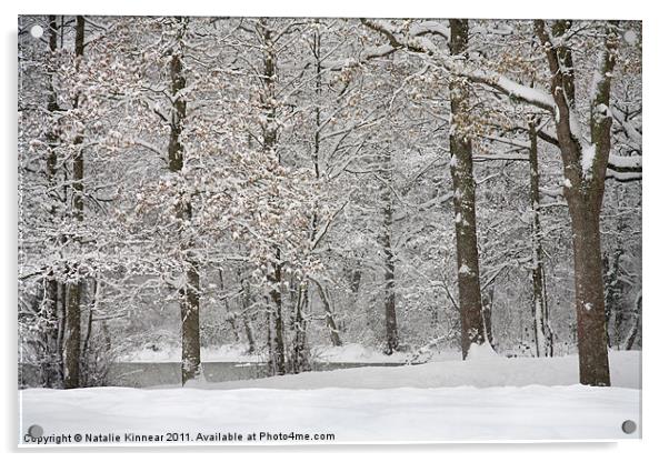 Snowy Scene Acrylic by Natalie Kinnear