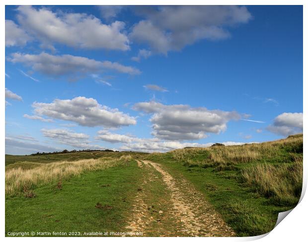 Cleeve Hill pathway Print by Martin fenton