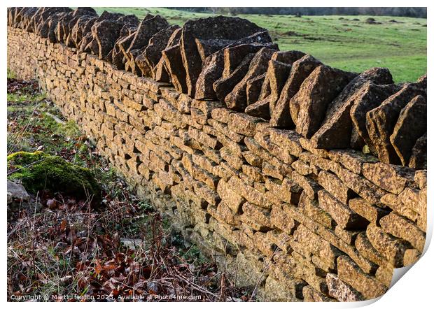 Cotswolds drystone wall Print by Martin fenton