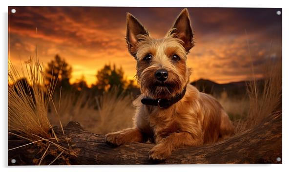 Australian Terrier  Acrylic by K9 Art