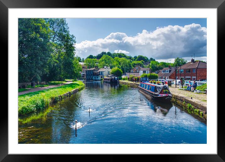 Rodley Barge Swans Framed Mounted Print by Alison Chambers