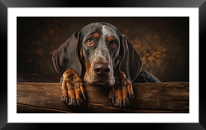 Bluetick Coonhound Framed Mounted Print by K9 Art