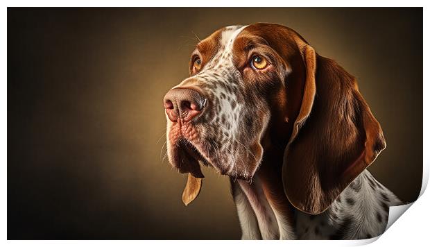 Bracco Italiano Print by K9 Art