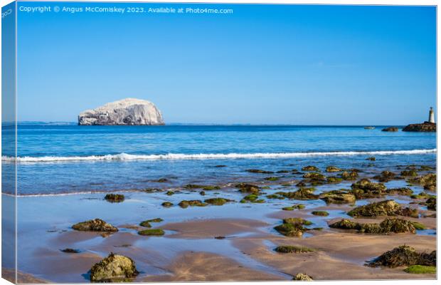 The Bass Rock from Seacliff Beach, East Lothian Canvas Print by Angus McComiskey